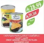 حدايق اورينت / حشوه فطيره توت العليق 2102