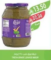 Treya Grape Leaves 960g