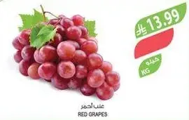 Red Grapes