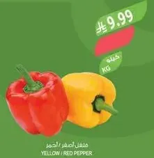 فلفل اصفر/احمر.