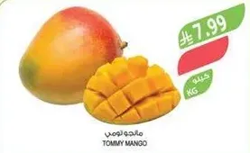 Tommy Mango