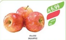Gala Apple