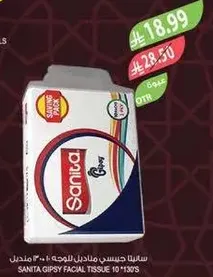 Sanita Gipsy Facial Tissue 10*130's