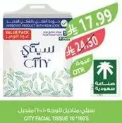 City Facial Tissue 10 x 100 sheets