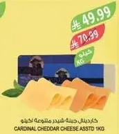 Cardinal Cheddar Cheese assorted 1kg