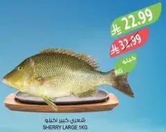 Sherry large fish 1kg