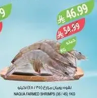 جمبري مزرعه ناقيا (35/45) 1 كجم