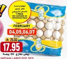 WESAM LARGE EGG 30's