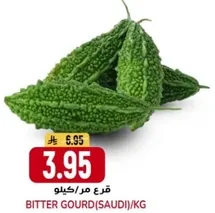 قرع مركل (سعودي) / كجم.