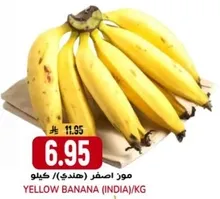 موز اصفر (هندي)/كغ