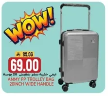 Ammy PP Trolley Bag 20inch Wide Handle