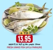 سمك جنيس طازج (ايله بارا)/كيلو