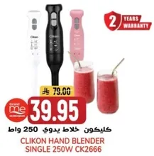 Clikon Hand Blender Single 250W CK2666
