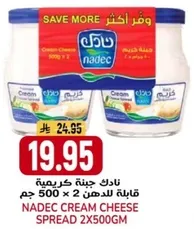 Nadec Cream Cheese Spread 2 x 500g