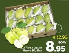 Guava Big Box