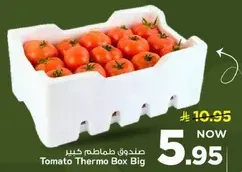 صندوق طماطم كبير