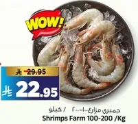 جمبري مزارع... 200-100 /كغ