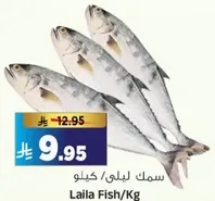 سمك ليلي/كيلو