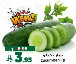 خيار / كيلوجرام