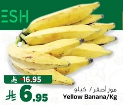 موز اصفر / كيلو