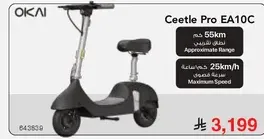 Ceetle Pro EA10C with an approximate range of 55 km and a maximum speed of 25 km/h.