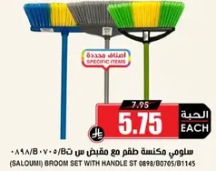 Salomi broom set with handle.