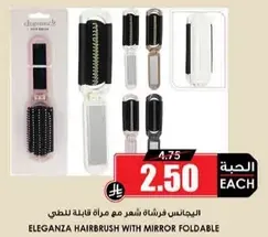 البيانات فرشاه شعر مع مراه قابله للطي.