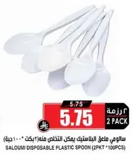 Saloumi disposable plastic spoon (2 packets of 100 pieces)