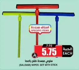 Saloumi wiper set with stick.