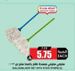 Saloumi mop set with stick, size 123.