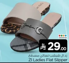 زد ال شينف نسايي مسطح