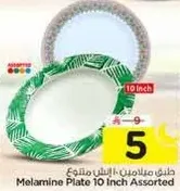 Melamine Plate 10 Inch Assorted