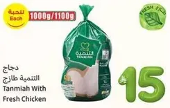 Tanmia With Fresh Chicken