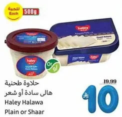 Haley Halawa Plain or Shaar