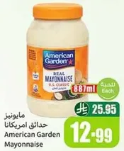 مايونيز حدايق امريكانا