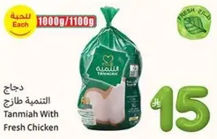 Tanmia with Fresh Chicken