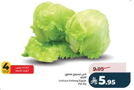 Lettuce Iceberg Egypt Per Kg