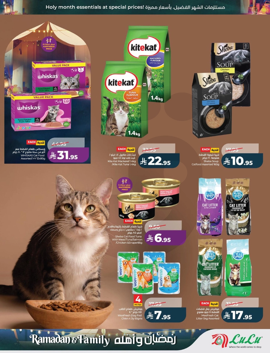 رمضان و أهله - صفحة 55