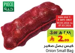 Onion Small Bag