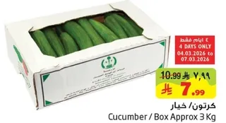 Cucumber / Box Approx 3 Kg