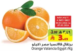 برتقال فالنسيا مصر اكيلو