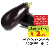 Eggplant Big / Kg.