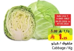 Cabbage / Kg