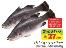 Barramundi Fish / Kg