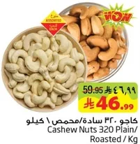 Cashew Nuts 320 Plain/Roasted / Kg