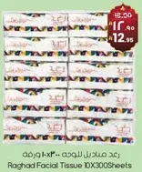 Raghad Facial Tissue 10X300 Sheets