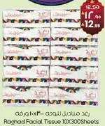 Raghad Facial Tissue 10X300 Sheets