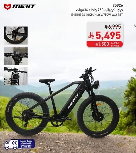 E-BIKE 26 40KM/H 36V/750W W/2 BTT
