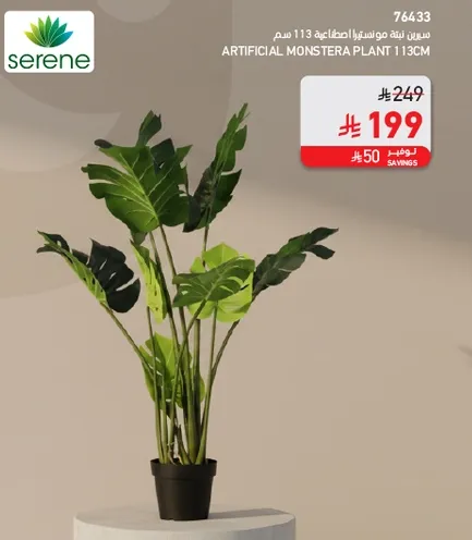 نبات مونستيرا الاصطناعي 113 سم