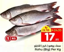 Rohu (Big) Per Kg